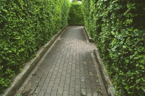 Labyrinth Garten Park — Stockfoto