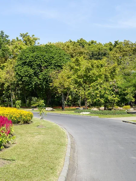 Grüner Garten Land Thailand — Stockfoto