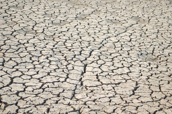 Dry Cracked Soil Texture Background — Stock Photo, Image