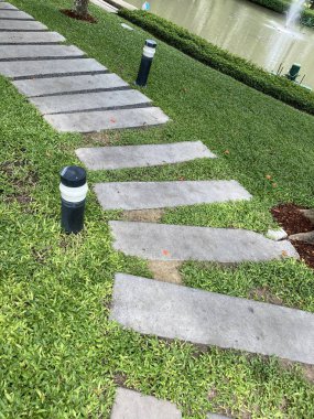 Bangkok Tayland 'daki güzel doğa bahçesi