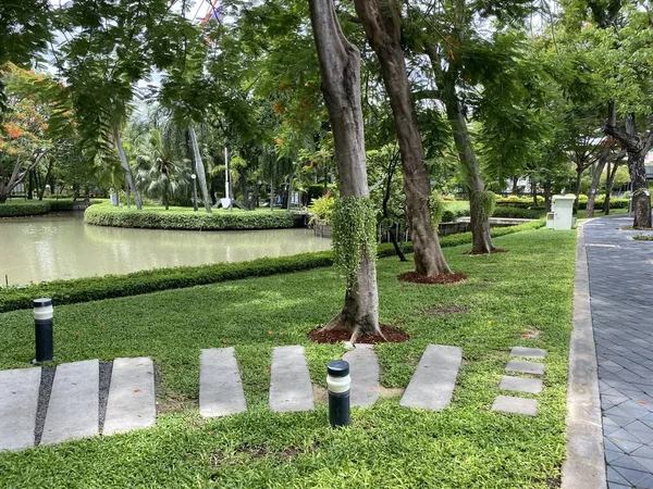 Bangkok Tayland Daki Güzel Doğa Bahçesi — Stok fotoğraf