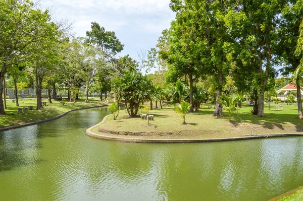 Зеленый Сад Стране Таиланд — стоковое фото