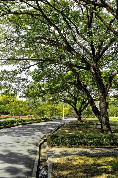 Jardim Verde País Tailândia — Fotografia de Stock