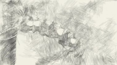 Sanat küçük solucanlardan siyah beyaz çiziyor.