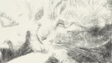 Güzel tekir kedilerin siyah beyaz çizimleri