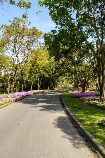 Fechar Estrada Jardim Natureza — Fotografia de Stock
