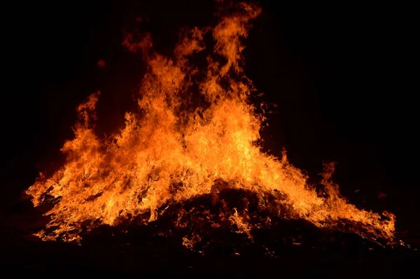 Feuer Brennt Nächtlichem Garten — Stockfoto