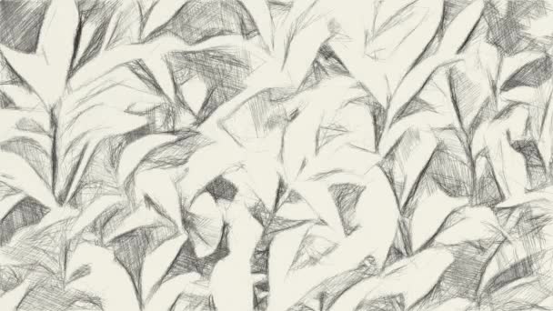Arte Desenho Preto Branco Árvore Jardim Natureza — Vídeo de Stock