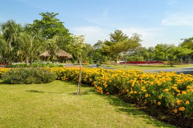 Tayland 'ın güzel bahçesi