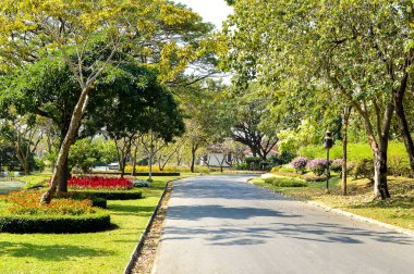 Tayland 'da yeşil bahçe