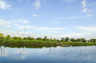 Tayland 'da balık havuzu