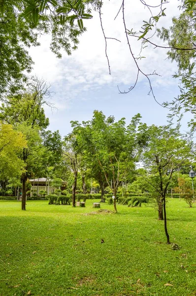 Tayland Yeşil Bahçe — Stok fotoğraf