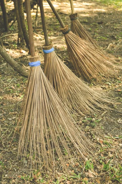 Besen Aus Kokosnusszweig Garten — Stockfoto