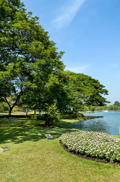 Tayland Yeşil Bahçe — Stok fotoğraf