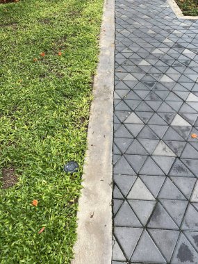 yeşil çimenler ve doğa bahçesindeki patika