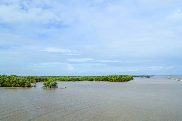 Schöne Landschaftsaufnahme Des Küstenwaldschutzgebietes Samutprakan Thailand — Stockfoto