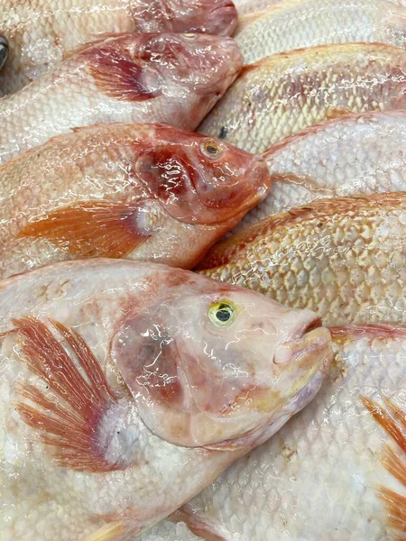 Čerstvé Ryby Trhu Potravinami — Stock fotografie