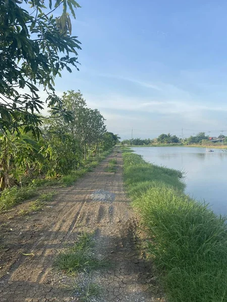 泰国境内的土路 — 图库照片