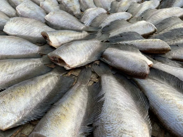 Закрыть Сухой Сепат Сиам Рыба Сырой Пищи Тайский Стиль — стоковое фото