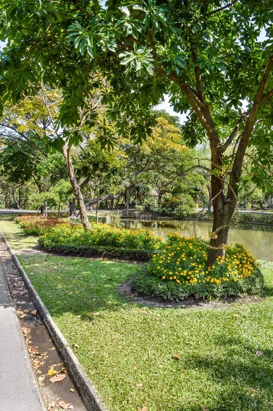 Jardim Natureza País Tailândia — Fotografia de Stock