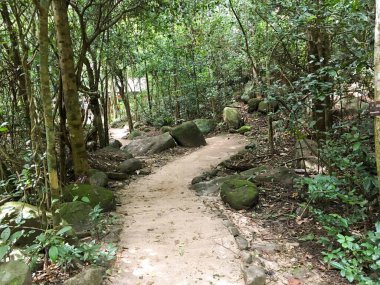 Khao Chamao, Rayong, Tayland 'da doğa yolu.
