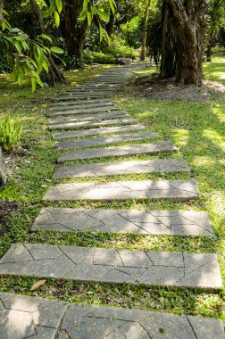 Bangkok Tayland 'daki güzel doğa bahçesi