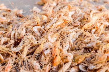 Kuru karidesi yemek için kapat.