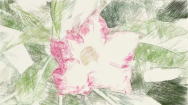 Doğa bahçesinde Impala zambağı renginde sanat çizimi