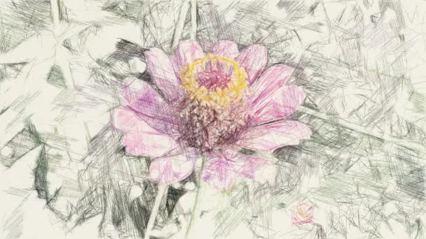 Sztuka Rysunek Kolor Różowy Kwiat Cynku — Wideo stockowe