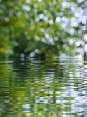 Soyut arkaplanın mavi ve yeşil rengi