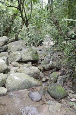 Bang Phra 'da Chanta Şelalesi, Sriracha, Chonburi, Tayland.