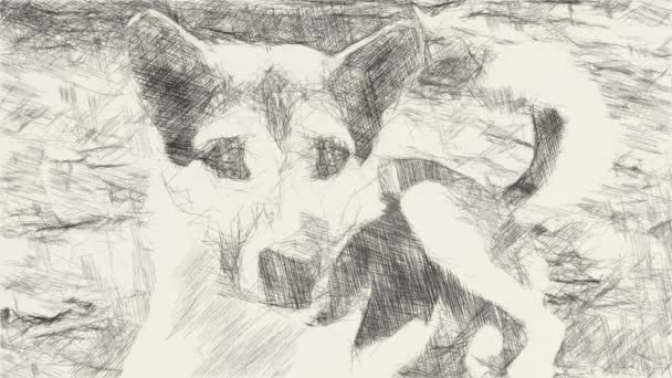 Рисунок Черно Белой Симпатичной Собаки — стоковое видео
