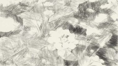 Sanat, lantana çiçeğinin siyah beyaz resmini çiziyor