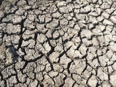 Tayland 'da kuru çatlak toprağı