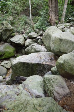 Bang Phra 'da Chanta Şelalesi, Sriracha, Chonburi, Tayland.