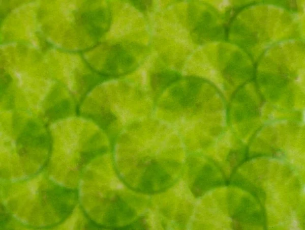 Groene Kleur Van Abstracte Achtergrond — Stockfoto