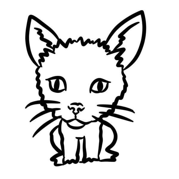 Drawing Black White Cute Cat Cartoon — Stock Photo, Image