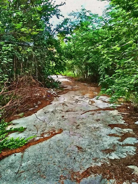 Arte Dibujo Color Camino Bosque — Foto de Stock