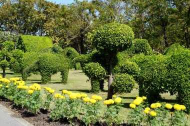 Tayland 'da doğa bahçesi