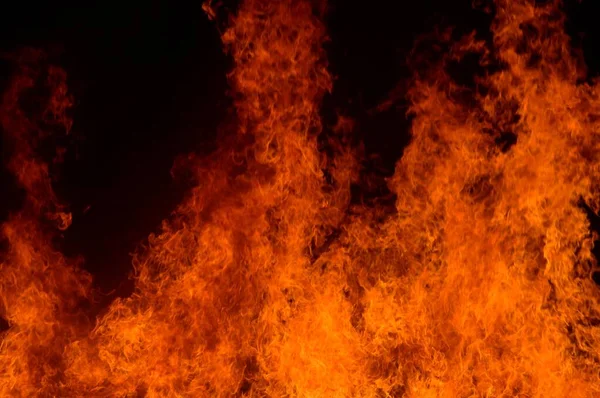 Fuego Ardiendo Jardín Nocturno —  Fotos de Stock