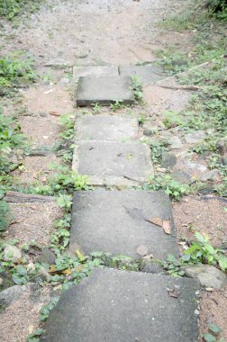 Doğa bahçesinde çimento tabağı