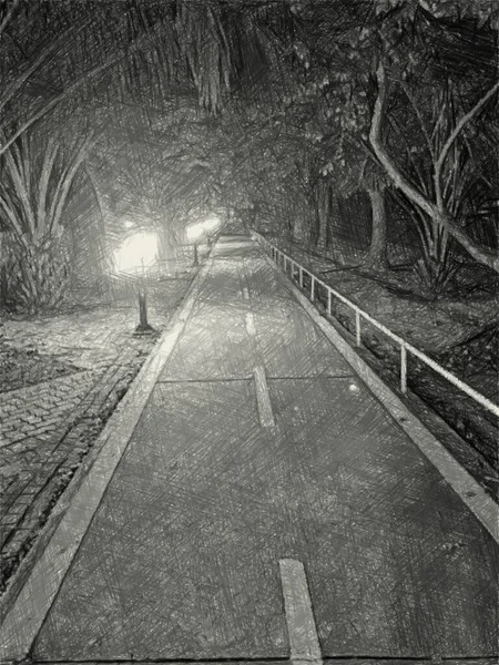 夜の庭の黒と白を描く — ストック写真