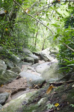 Bang Phra, Sriracha, Chonburi, Tayland 'daki Chanta şelalesinde büyük bir taş..