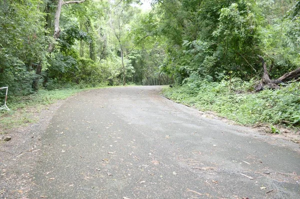 Straße Wald Bei Chonburi Thailand — Stockfoto