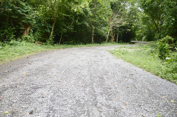 Straße Wald Bei Chonburi Thailand — Stockfoto