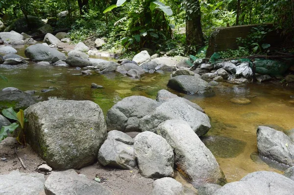 Naturwald Chonburi Bei Thailand — Stockfoto