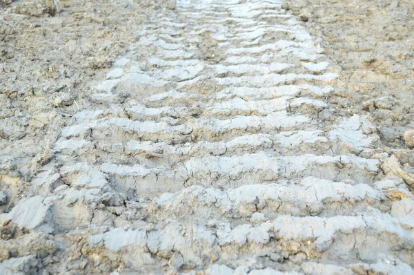 泰国的干裂土壤 — 图库照片