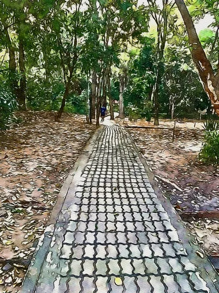 Dessin Art Couleur Manière Dans Forêt — Photo