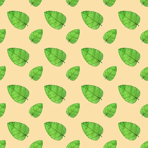 Бесшовный Рисунок Зеленого Листа Желтом Фоне — стоковое фото
