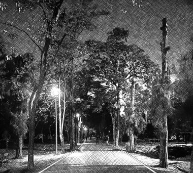 Sanat, doğa bahçesinde siyah beyaz çiziyor.